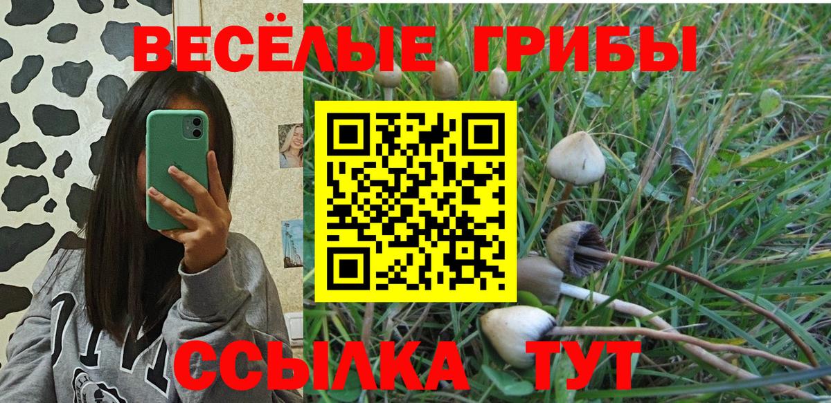 Севастополь  Галлюциногенные грибы ЛСД  Вход с VPN 