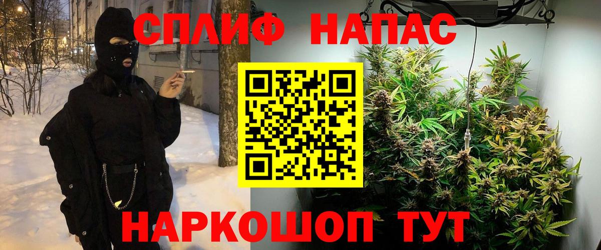 Конопля Amnesia  Бошки марихуана план  Вход с VPN  Севастополь  Каннабис Amnesia  Марихуана конопля 